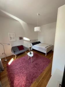曼海姆Feel-Good Apartment In Mannheim-Neckarau的客厅配有床和粉红色地毯。