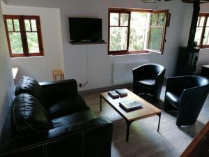 圣马丹韦叙比耶Chalet Le Tyrolien, au coeur du Boréon的客厅配有黑色真皮沙发和椅子