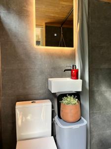 泽尔内什蒂Bramble Tiny House的一间带水槽、卫生间和镜子的浴室