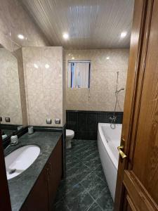 巴统Guesthouse Parnavaz Mepe的一间带水槽、浴缸和卫生间的浴室