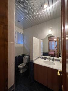 巴统Guesthouse Parnavaz Mepe的一间带卫生间、水槽和镜子的浴室