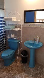 波托韦洛Rainforest Lodge del Rio的浴室设有蓝色的卫生间和水槽。