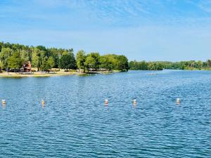 希尔波尔特施泰因Moderne Ferienwohnung am Rothsee的水中有一个橙色浮标的大湖