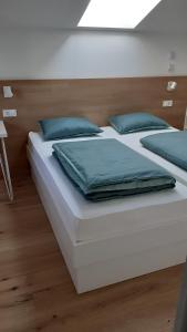 维帕瓦Fine Rooms Vipava的卧室内的两张床和蓝色枕头