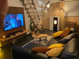 那慕尔Maisonnette Les garages的带沙发和平面电视的客厅