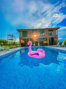 IkaltoChateau ikalto的一座房子前的游泳池,上面有粉红色的天鹅
