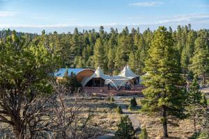 WidtsoeUnder Canvas Bryce Canyon的森林中间的帐篷
