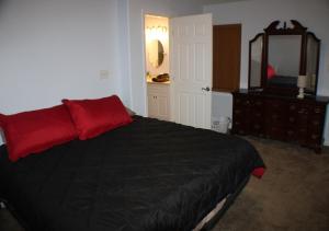 纳瓦拉Navarre Beach Escapades的一间卧室配有一张黑色床、红色枕头和镜子