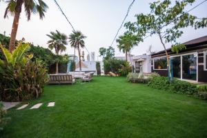 利雅德شاليه خاص的后院设有草坪,种植了椅子和棕榈树