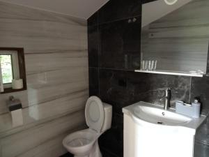 博尔沙Casa Danci II的一间带卫生间和水槽的浴室