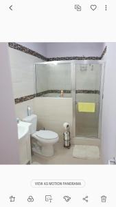 Mount Pleasantde Felice的浴室配有白色卫生间和淋浴。
