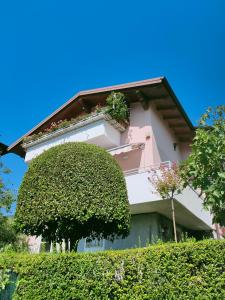 特伦托Ai Cappuccini, Trento a 360 gradi的前面有绿色灌木的粉红色建筑