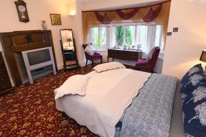 斯旺西Luxury Suite in quiet countryside location的一间卧室配有一张大床和电视