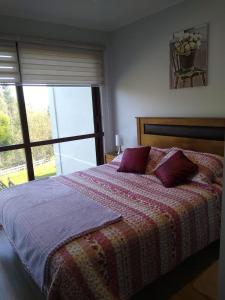 托梅Casa en Pingueral 4的一间卧室设有一张床和一个大窗户