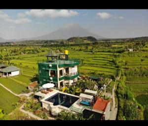 Tirtagangga谷米巴厘旅馆的田间中的大型绿色房屋