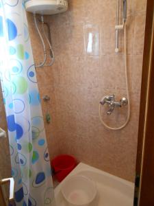 扎格拉维奇Apartments by the sea Cove Ostricka luka, Rogoznica - 11451的带淋浴和卫生间的小浴室