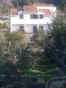 斯拉诺Apartments by the sea Sladjenovici, Dubrovnik - 11531的白色房子,有红色屋顶