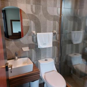 托卢卡Hotel Santino的一间带卫生间、水槽和镜子的浴室