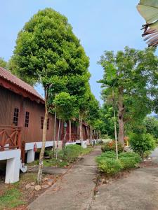 瓜拉大汉Tekoma Resort Taman Negara的建筑物旁边的一排树木