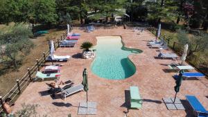 斯波莱托卡萨莱福斯科酒店的享有带躺椅的游泳池的顶部景致