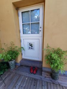 伦讷The FIG Studio - "Den Gule Svane" Guest House - near Rønne & Beach的坐在门前的一双红色鞋