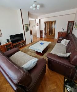 斯科普里Family Apartment Ivanovic的客厅配有真皮沙发和桌子