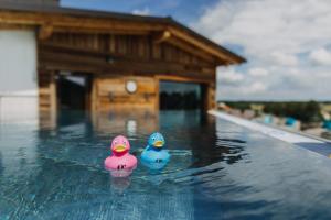 巴特法兴格Ortner's Resort的两个橡皮鸭坐在游泳池里