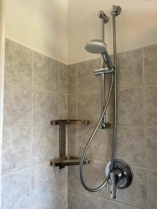 科利科极光酒店的浴室内配有淋浴和头顶淋浴