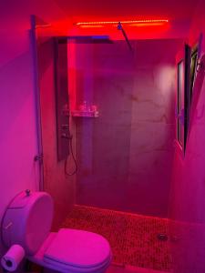 卡塔尼亚Lungomare panorama suite apartment的粉红色的浴室设有卫生间和淋浴。