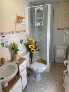布莱克浦索伦托之家旅馆的浴室配有卫生间、盥洗盆和淋浴。