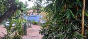 卡图纳耶克Shady transit hotel的一座带蓝色栅栏和蓝色建筑的花园