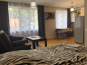 博尔若米Borjomi Apartment Lia的配有床、椅子和桌子的房间