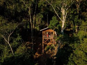 塔拉波托Pumarinri Amazon Lodge的森林中间的树屋