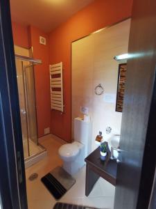 莫伊西德约斯Belvedere Resort Moieciu的一间带卫生间和水槽的浴室