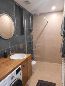 阿德蒙特Mini-Apartment Admont的带淋浴、盥洗盆和洗衣机的浴室