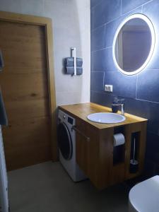 阿德蒙特Mini-Apartment Admont的一间带水槽和洗衣机的浴室
