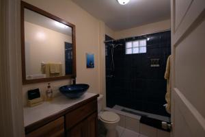 圣佩德罗BELIZE TROPICAL DREAM VILLAS的一间带水槽、卫生间和淋浴的浴室