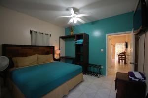圣佩德罗BELIZE TROPICAL DREAM VILLAS的一间卧室配有一张床和吊扇