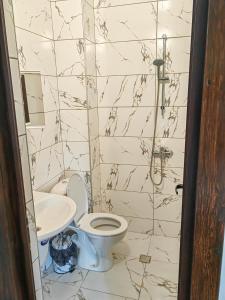 莱什顿Rimovata Kashta Guest House的一间带卫生间和水槽的浴室