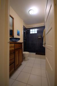 圣佩德罗BELIZE TROPICAL DREAM VILLAS的一间带卫生间和水槽的浴室