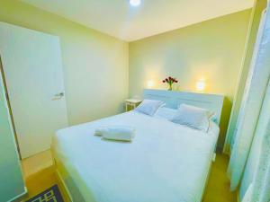 马德里MADRID CENTRO的卧室配有一张带两个枕头的大白色床