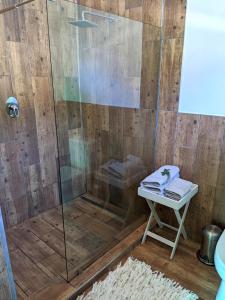 姆巴巴内银石赛道旅馆 的浴室设有玻璃门和凳子淋浴