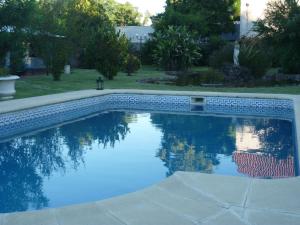 卡梅隆米科诺斯卡梅罗公寓的庭院里的一个蓝色海水游泳池
