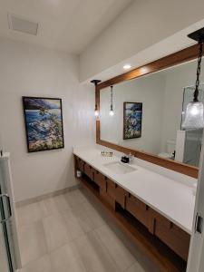 沃特顿公园Kilmorey Lodge的一间带水槽和大镜子的浴室