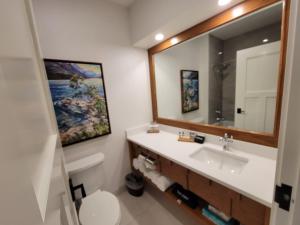 沃特顿公园Kilmorey Lodge的一间带水槽和镜子的浴室