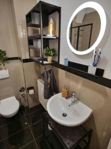 爱尔福特Appartement OTTO I - Erfurt Zentrum的一间带水槽和镜子的浴室