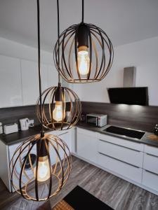 爱尔福特Appartement OTTO I - Erfurt Zentrum的厨房设有天花板上的三盏灯
