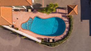 纳尔逊棕榈汽车旅馆的享有度假村游泳池的顶部景致