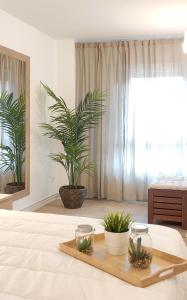 毕尔巴鄂Mood Bilbao Apartamentos - New & Special的一间有床的房间,上面有两棵植物