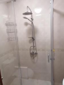 什蒂普Ano's Apartment的带淋浴的浴室和玻璃门